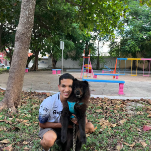 Paseadores de perros en Las Águilas, Álvaro Obregón, Distrito Federal -   México